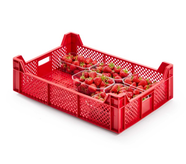 Berry fruit box 60 x 40