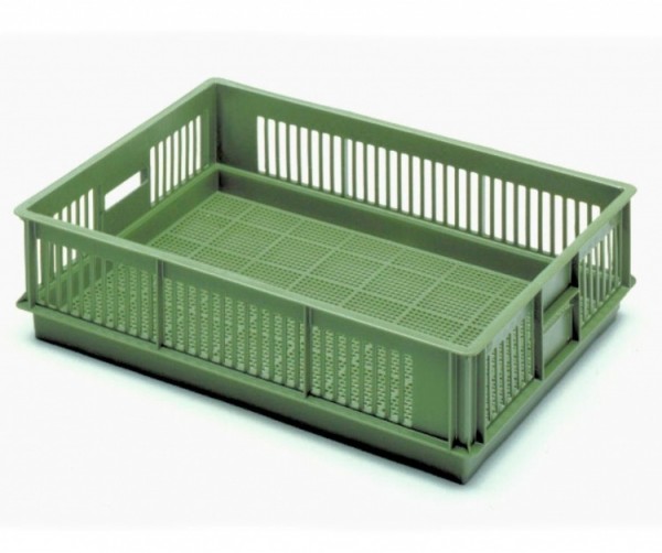 Chick box 60 x 40 x 11